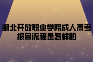 <b>湖北开放职业学院成人高考报名流程是怎样的？</b>