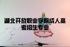 <b>湖北开放职业学院成人高考招生专业</b>