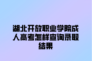 <b>湖北开放职业学院成人高考怎样查询录取结果？</b>