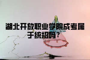 湖北开放职业学院成考属于统招吗？