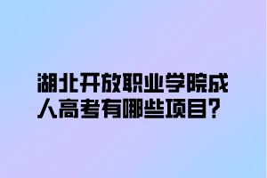 湖北开放职业学院成人高考有哪些项目？