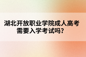 湖北开放职业学院成人高考需要入学考试吗？