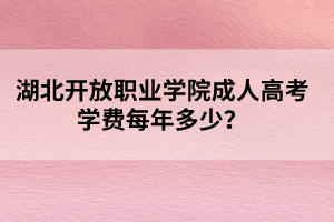 湖北开放职业学院成人高考学费每年多少？