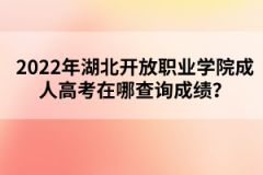 2022年湖北开放职业学院成人高考在哪查询成绩？