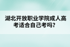 湖北开放职业学院成人高考适合自己考吗？