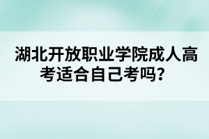 湖北开放职业学院成人高考适合自己考吗？