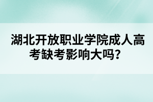 湖北开放职业学院成人高考缺考影响大吗？